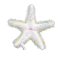 Starfish Plush toy - orange Starfish Plush toy - orange